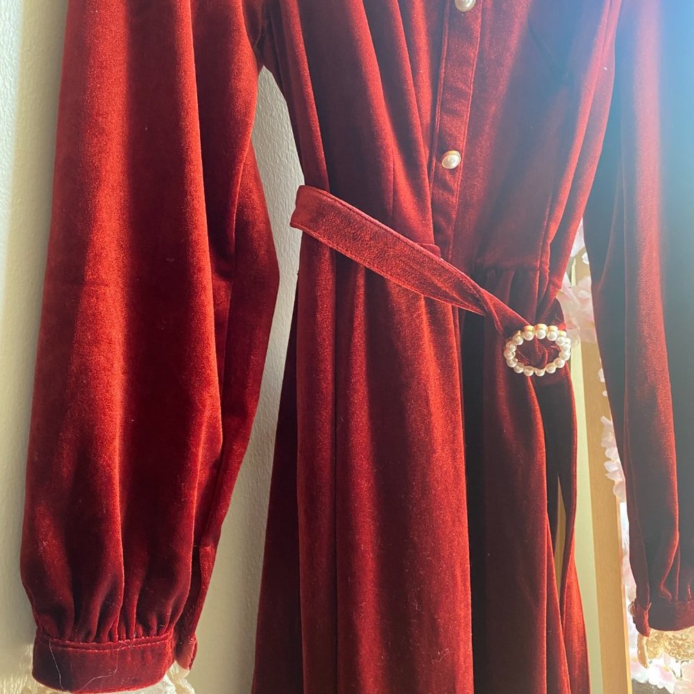 Vintage Velvet Dress - NWT - Picture 2 of 4